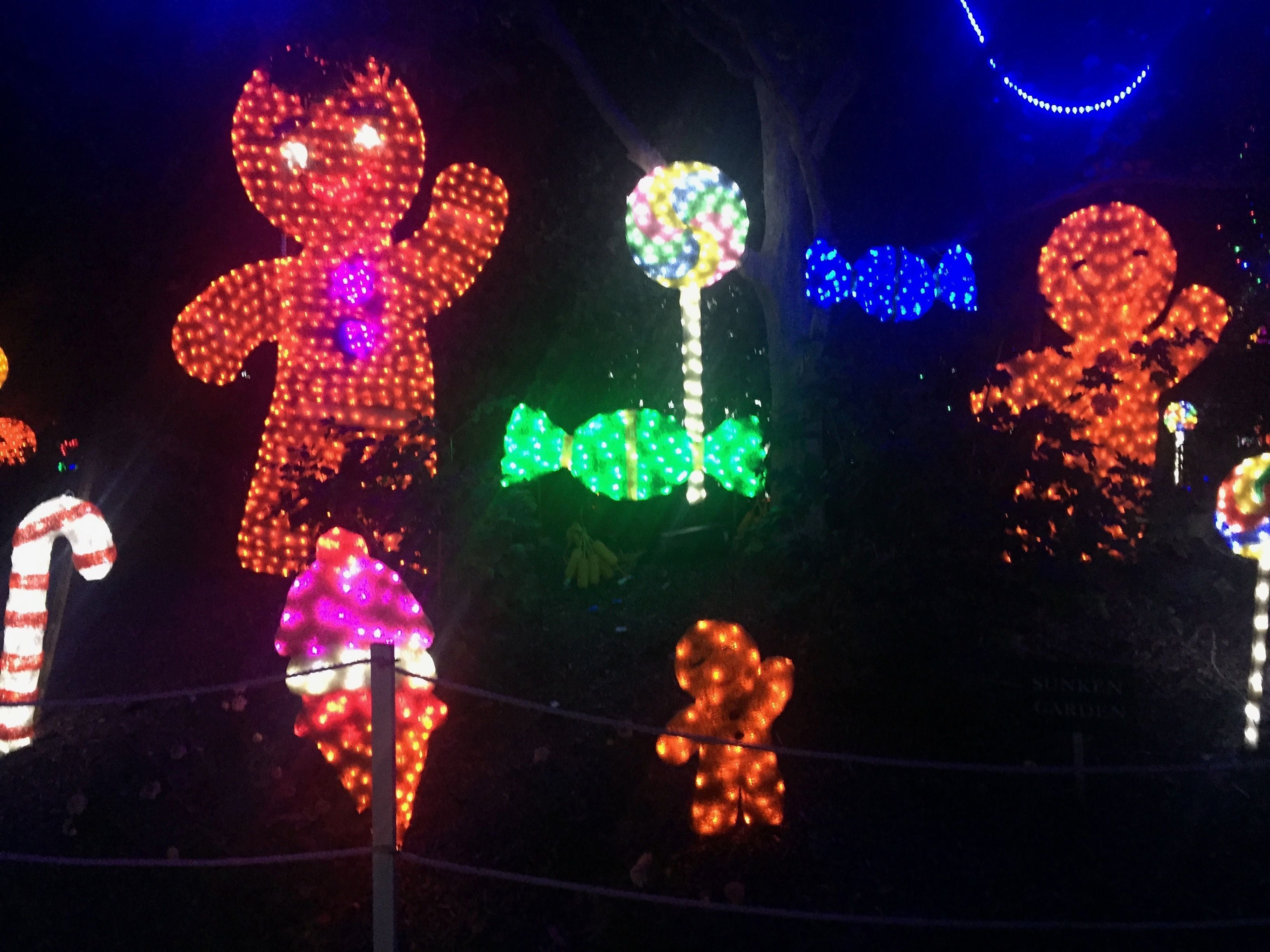 Hunter Valley Christmas Lights Spectacular Image -5b3abbcd74824